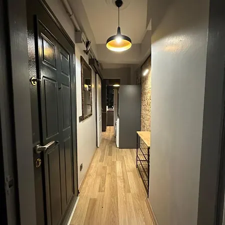 Archeo (adults Only) *