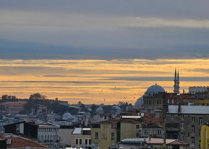 Archeo (adults Only)